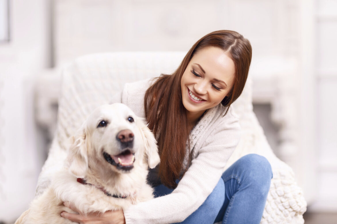 Check Out the Best CBD Oil Products for Dogs